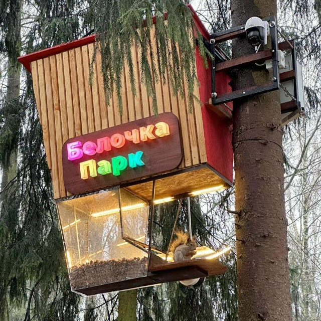 В Балашихе установили кормушку премиум-класса для бел?...