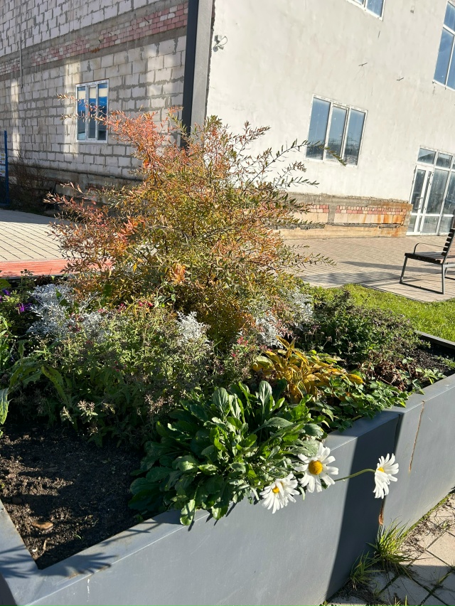 В центре доцветают моменты лета . Спасибо [id790372964|Татья?...