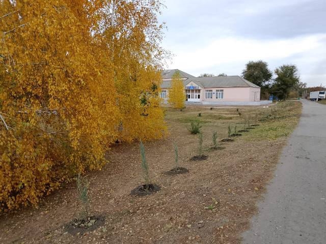 📲В селе Верхняя Чернавка, по улице Рябова, завершилис?...