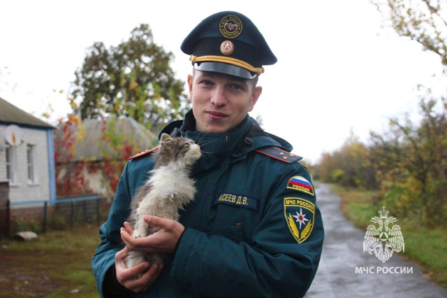 🐈 Курский спасатель Дмитрий Асеев спас котенка, котор...