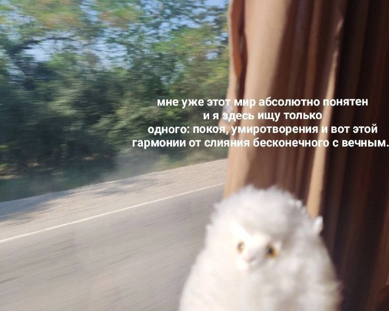 состояние