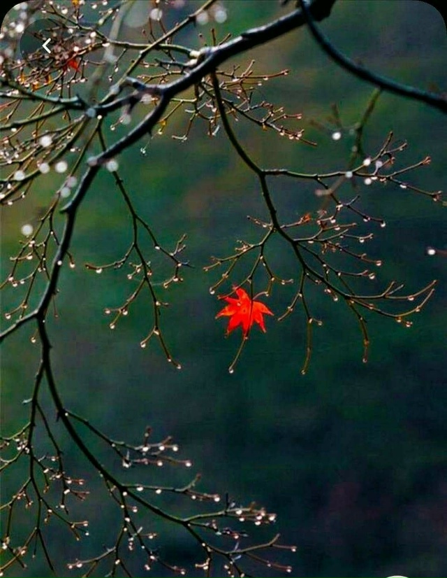 Виталий Александрович после работы заехал в супермарк...