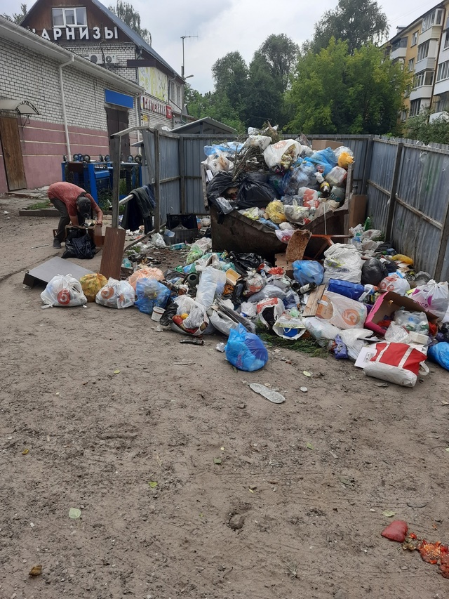 Вот такая ситуация уже полгода на мусорке в Фокинском ?...