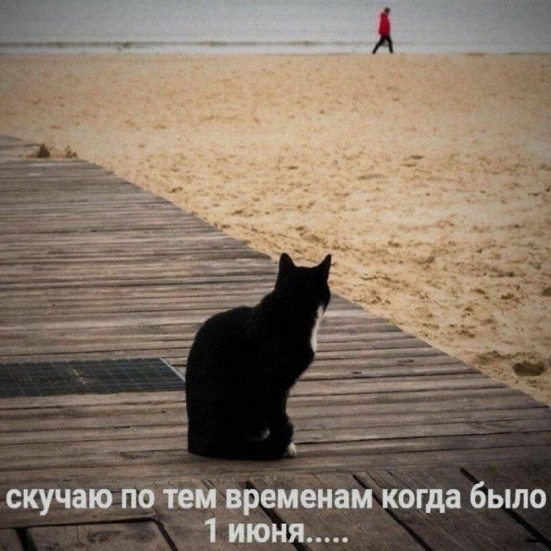 Ночная подборочка
Спать, режим