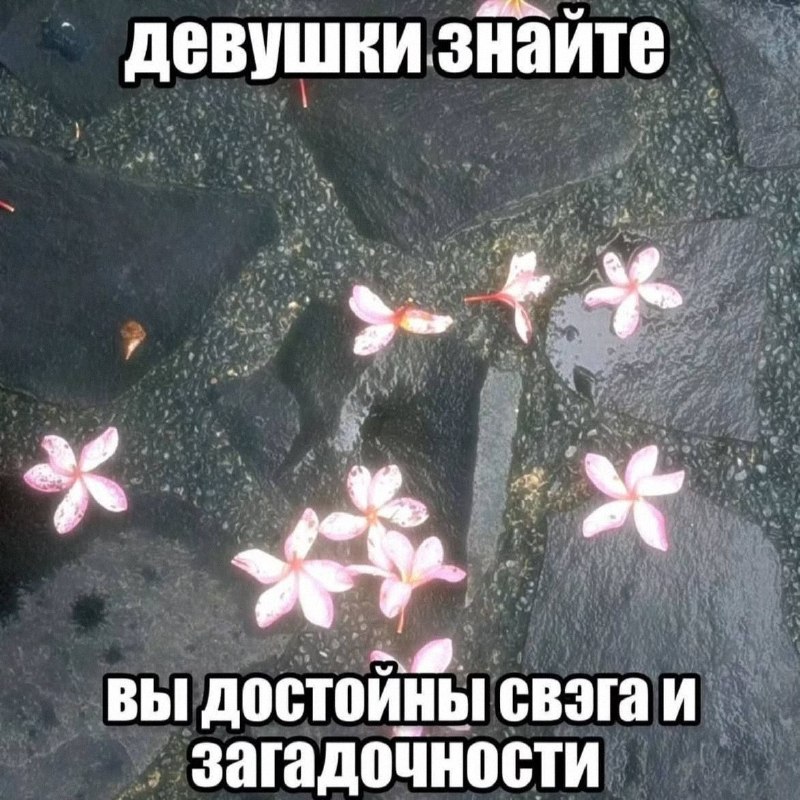 Утренняя подборочка