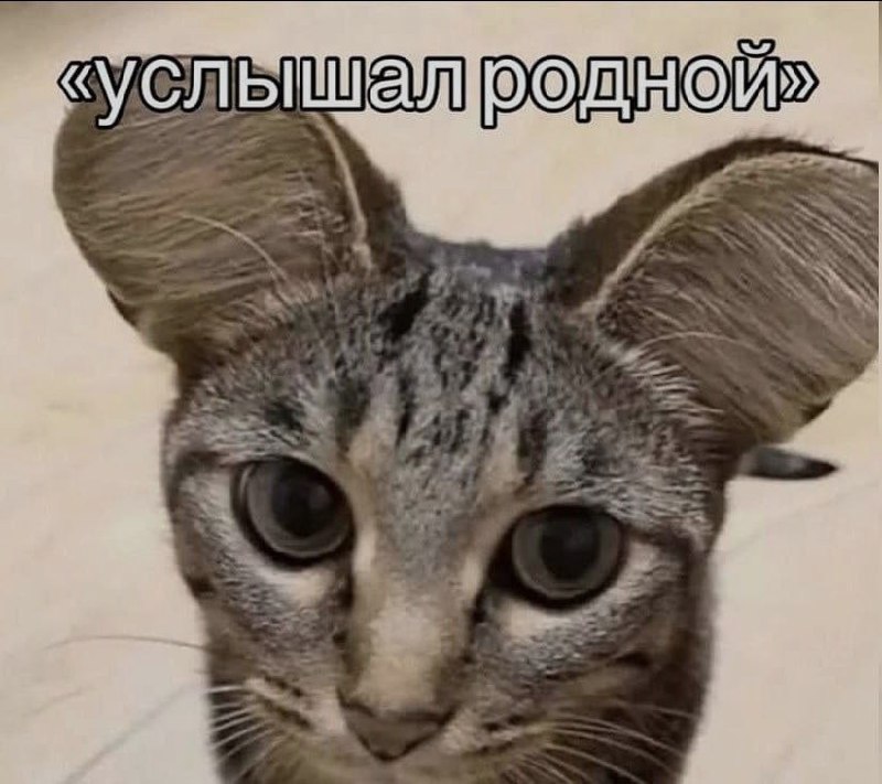 Ночная подборочка
Выходные, не спим