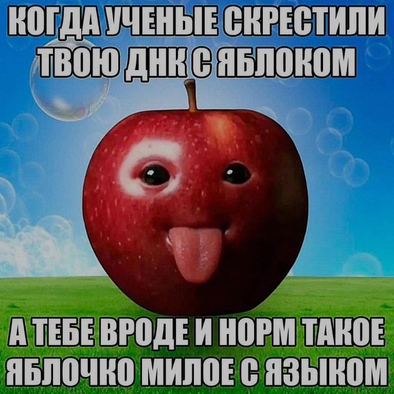 Ночная подборочка
Спать, режим