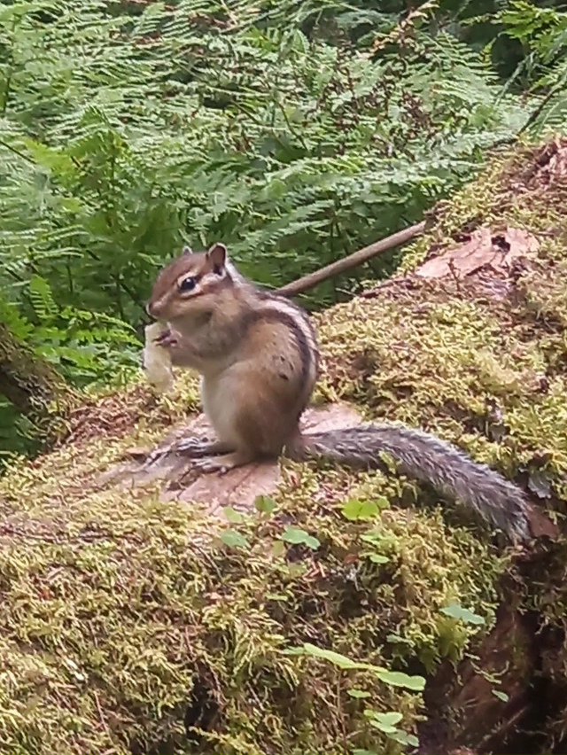 ?❤️ Прекрасные Усьвинские столбы
Одна из легенд, св?...