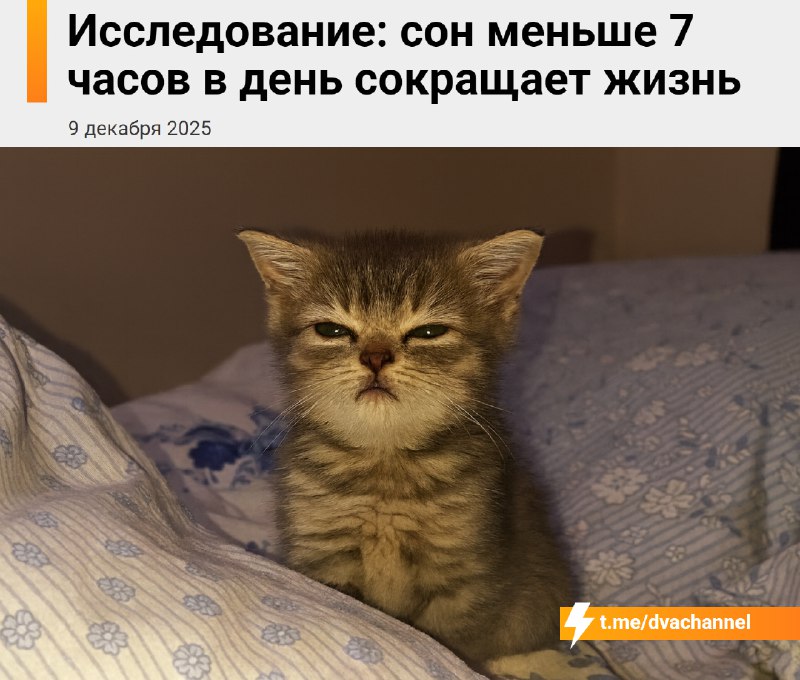 Хронический сон меньше 7 часов в сутки заметно сокращает жизнь, показало исследование
Учёные, изучи