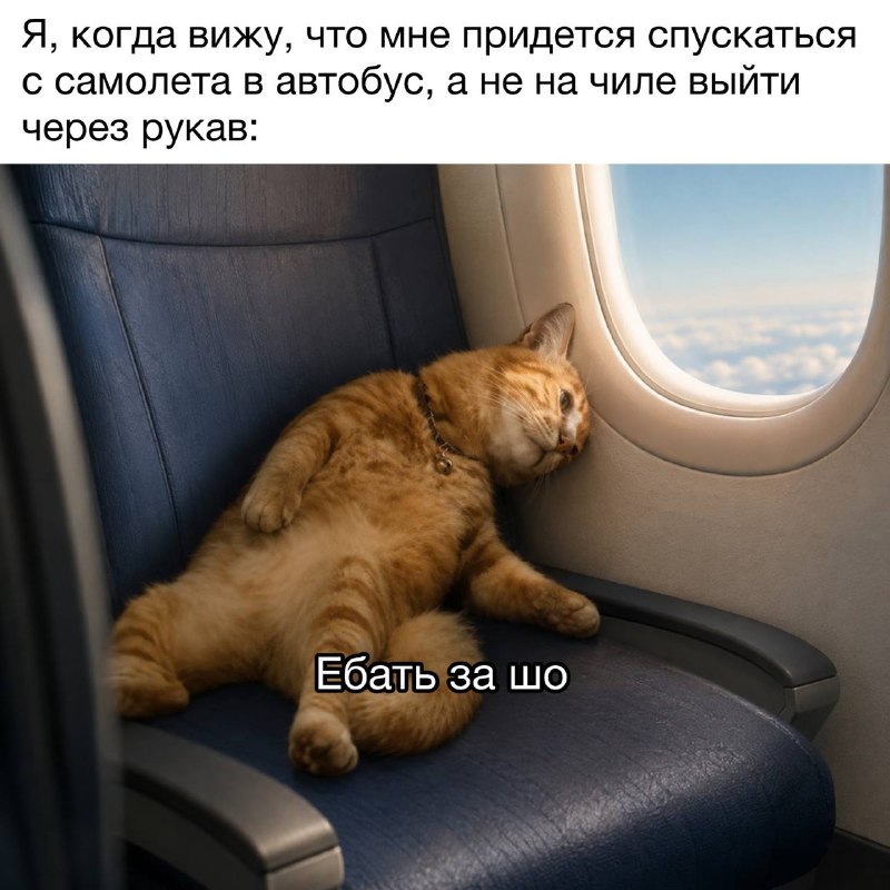 мир был бы чуточку лучше, если бы на авиасейлсе можно было отсеивать такие полеты