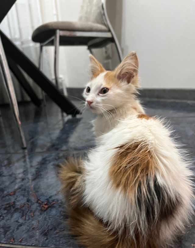 1. Бегала в районе 1 поликлиники, наверное потерялась.
а...