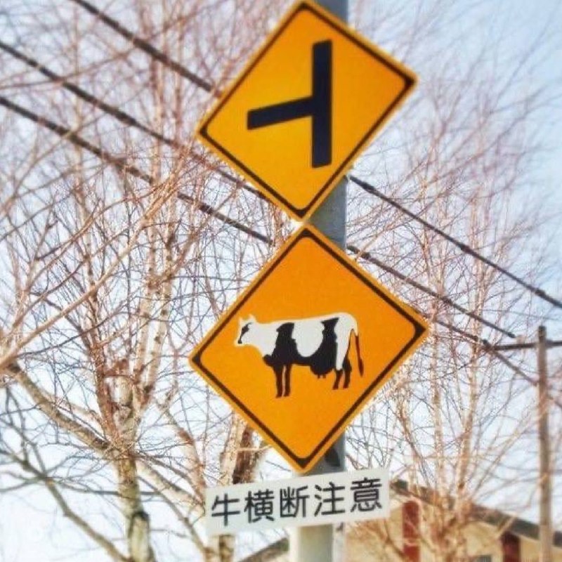 В Японии дорожные знаки предупреждают не только о поворотах и машинах, но и о животных — на трассах