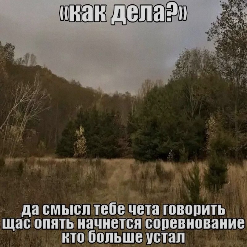 Ночная подборочка
Спать, режим