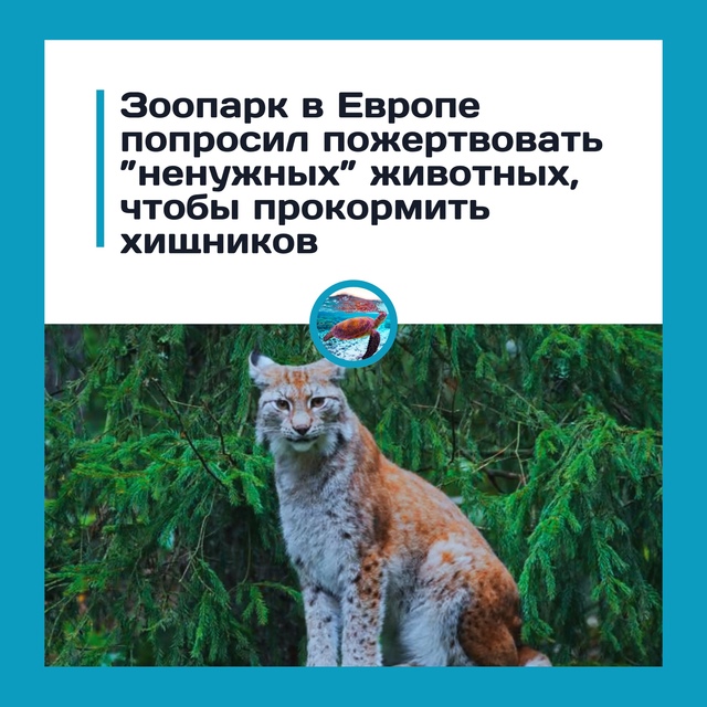 Датский зоопарк просит отдавать ненужных животных на ?...