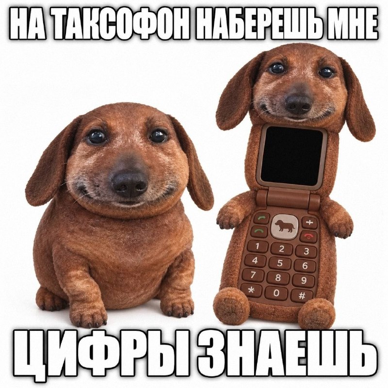 Утренняя подборочка