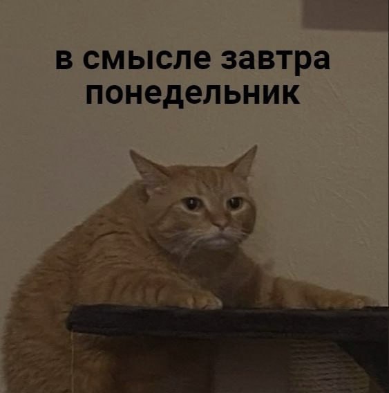 Ночная подборочка
Спать, режим