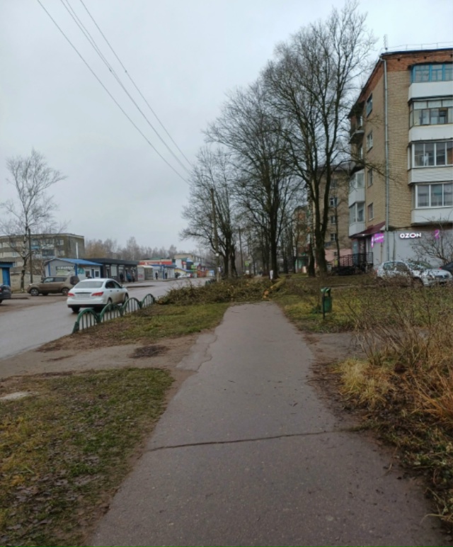 Администрация!
Когда планируется уборка этого экозаг?...