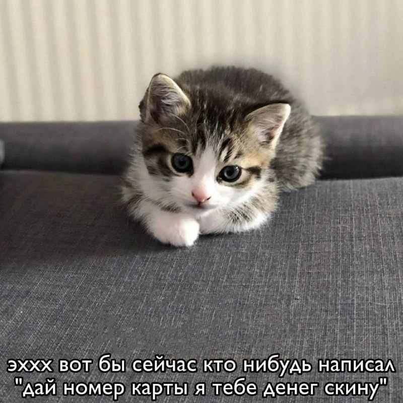 Утренняя подборочка