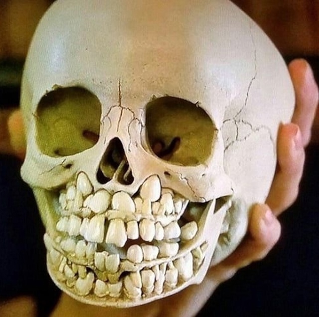 Хотите острых ощущений? Есть ребенок от 6 до 12 лет? Сдел?...