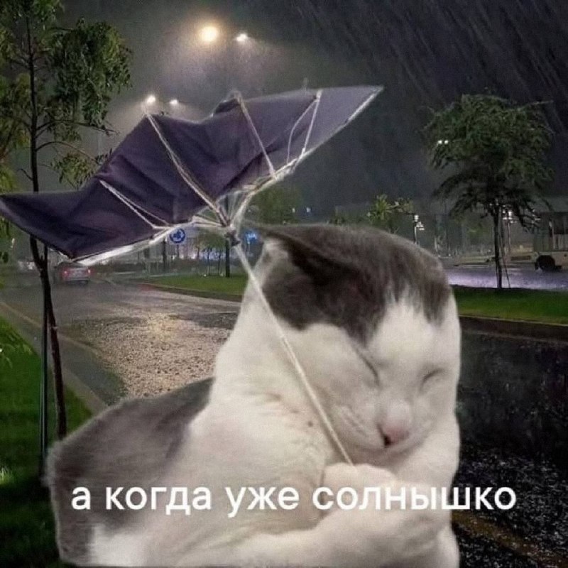 Утренняя подборочка