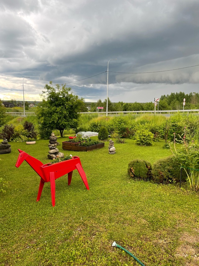 А давайте каждый покидает в комменты фото с природы, ко...