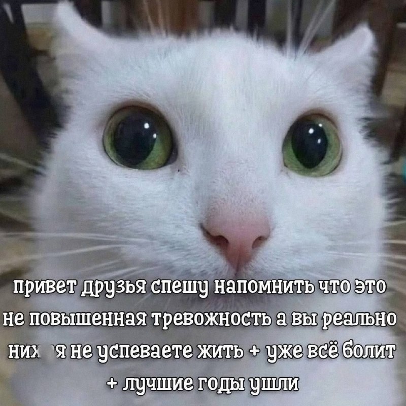 Утренняя подборочка