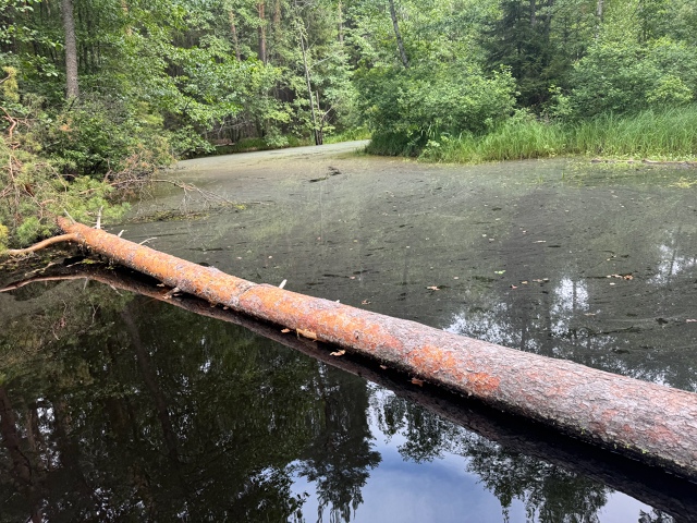 Поверхнось реки Выксунка, впадающей в Верхневыксункий...