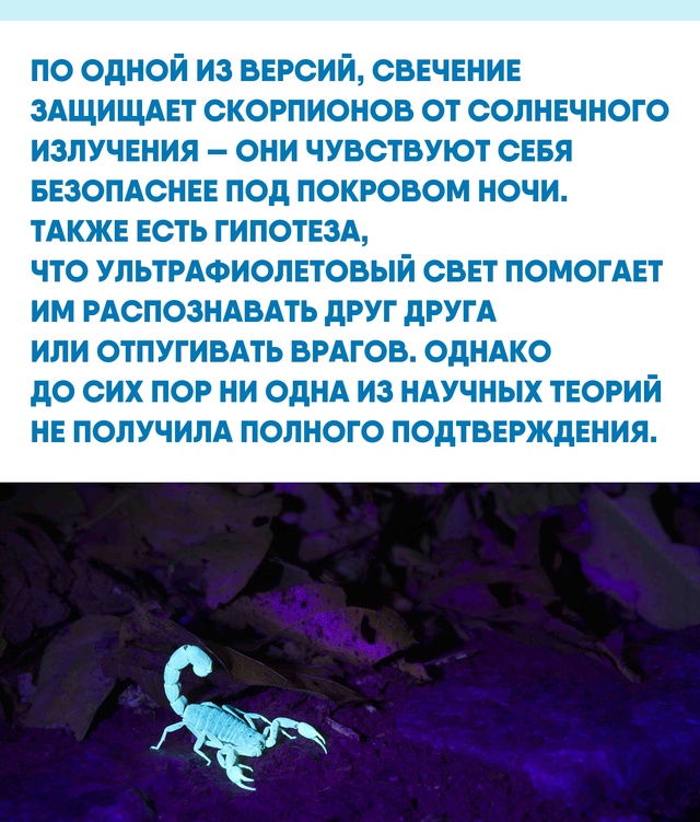 Иногда самые неожиданные свойства природы становятся ...