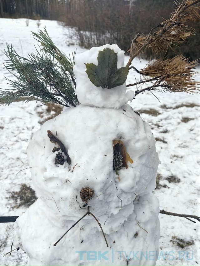 ☃️Парад снеговиков .
В эти дни снег такой липкий, поэ?...