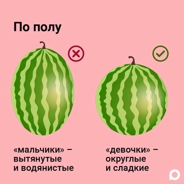 Как правильно выбрать арбуз.😎