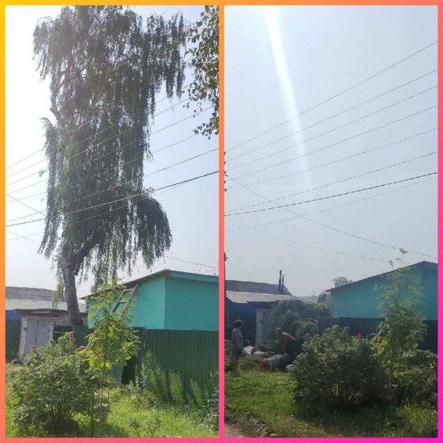 СПИЛИМ ЛЮБОЕ ДЕРЕВО (рядом с домами, проводами, заборам...