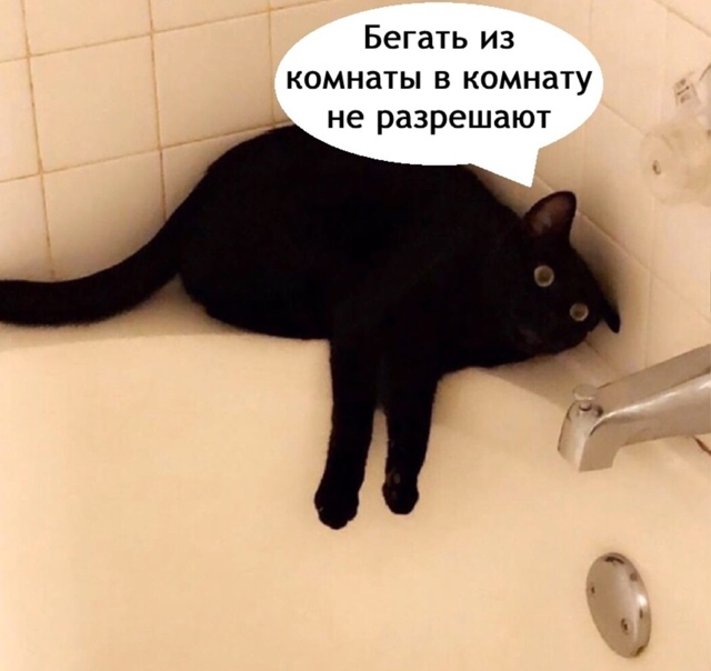 Жаль этого добряка конечно