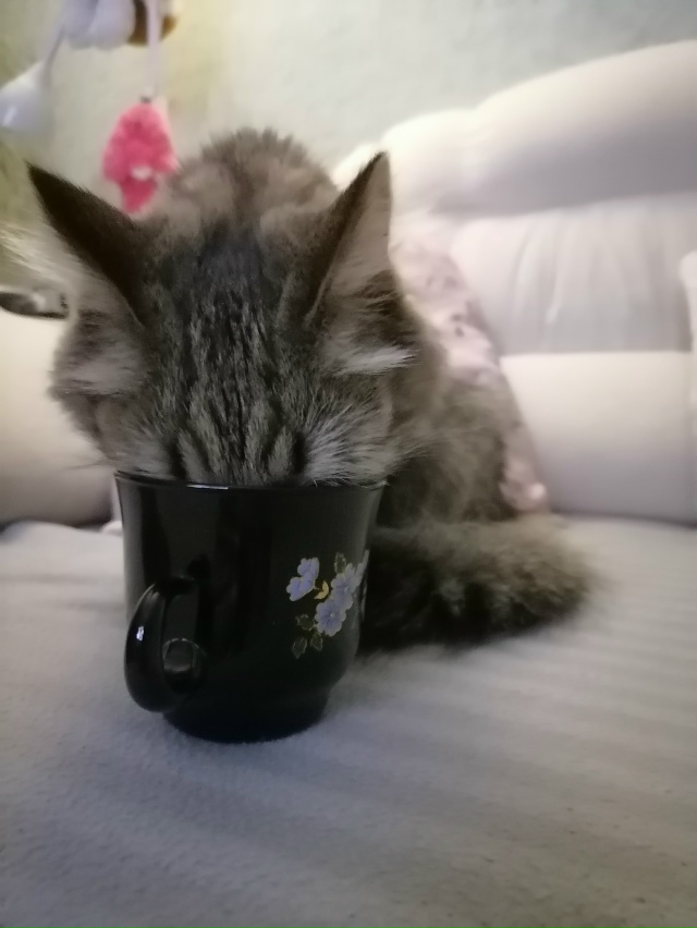 Кто чем занят? Кидаем фото)
Анон