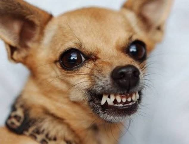 ️После публикации Properm, Бастрыкин поставил на контрол?...