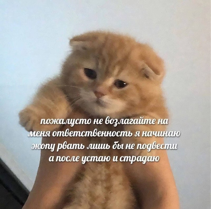 Сегодня отмечается День перекладывания ответственности и день прогульщика.
Мы?