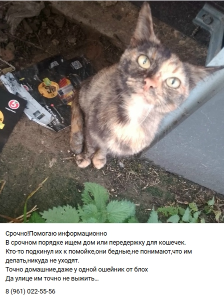 Пост добра. Распространите, пожалуйста.