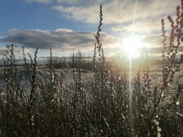 Доброй ночи, Никольск❤