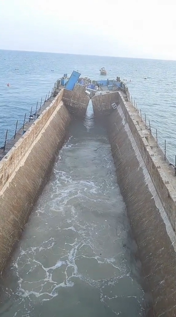 Искусственные рифы — спасение морских экосистем! Эти ?...