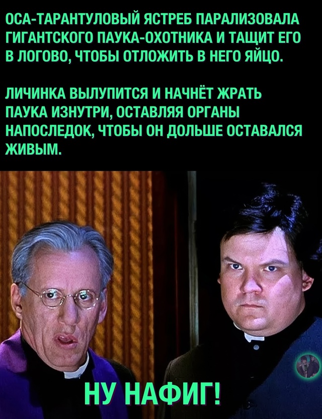 Как же хочется в Австралию