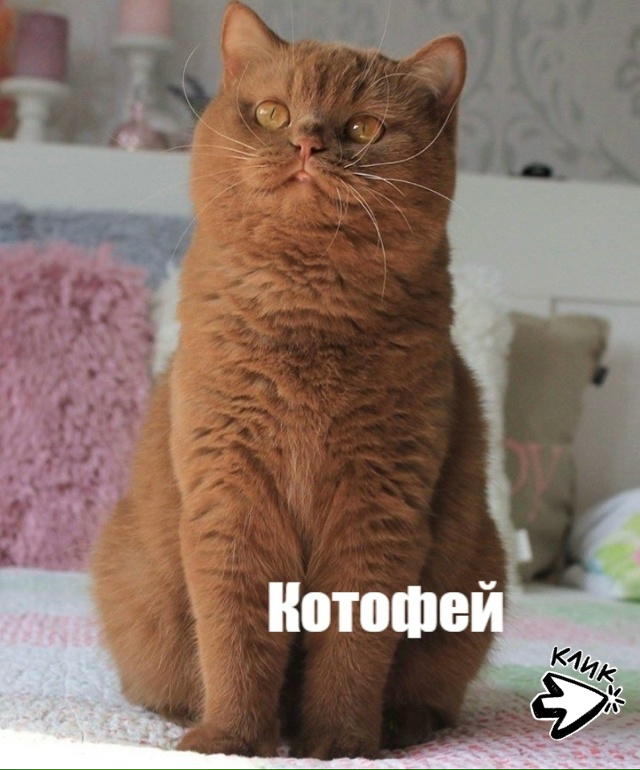 Какие они все-таки разные, но такие любимые?