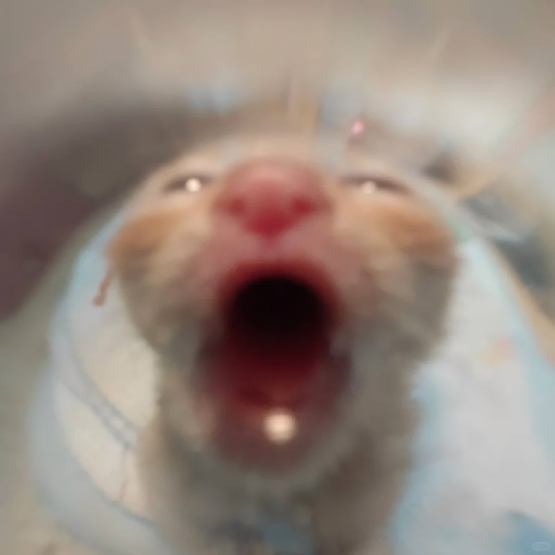 Вы только что были пососаны