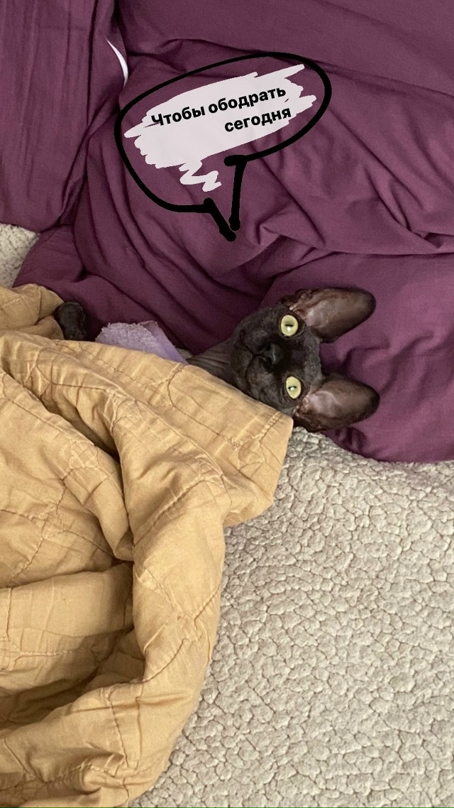 Немножко доволен, немножко не доволен🤣