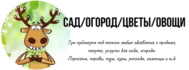 ►► САД/ОГОРОД/ЦВЕТЫ/ЖИВОТНОВОДСТВО
В том числе и прод...