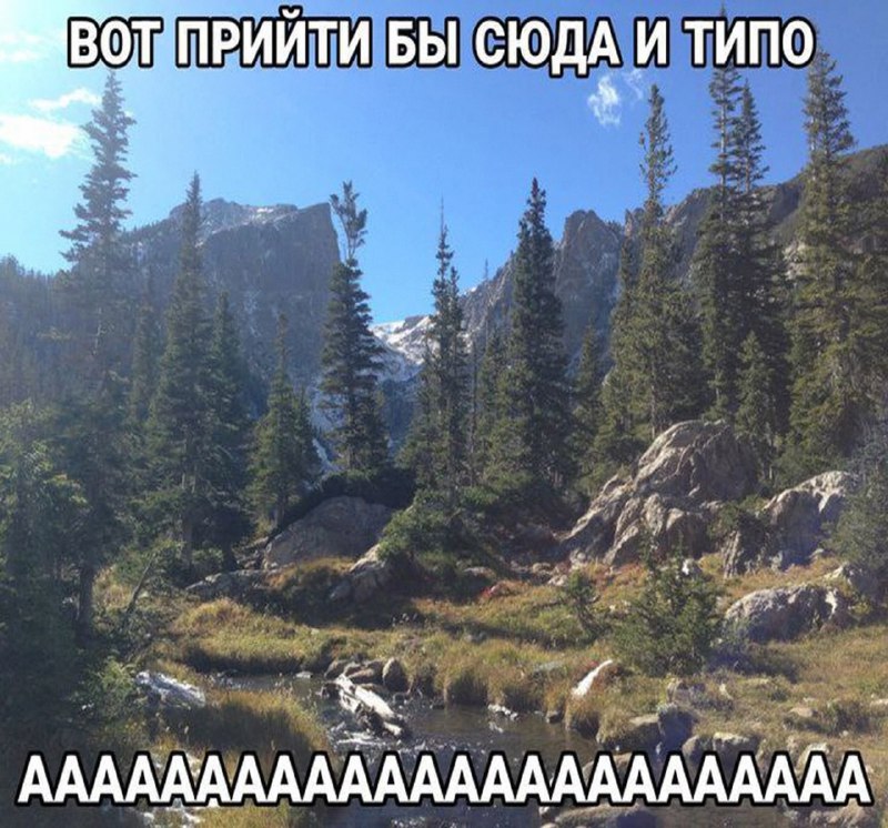 Утренняя подборочка