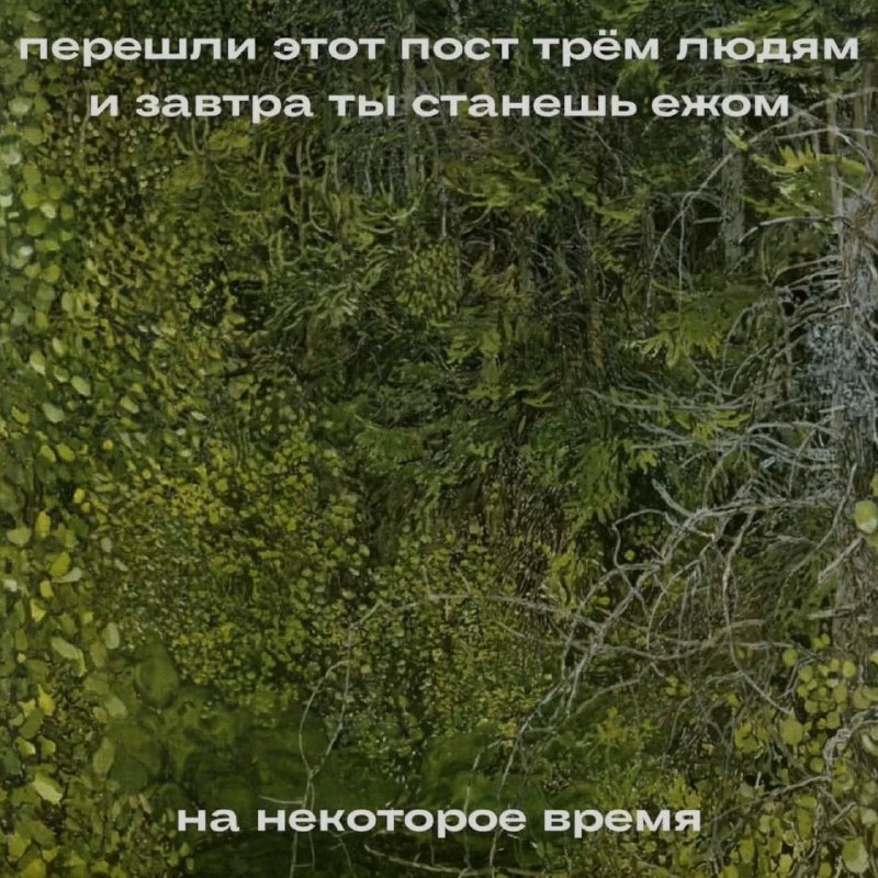 Ночная подборочка
Спать, режим