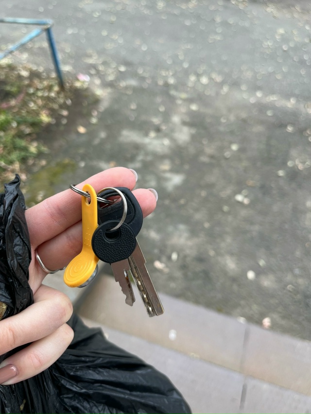 Найдены ключи около киоска Медовый спас на Свердлова