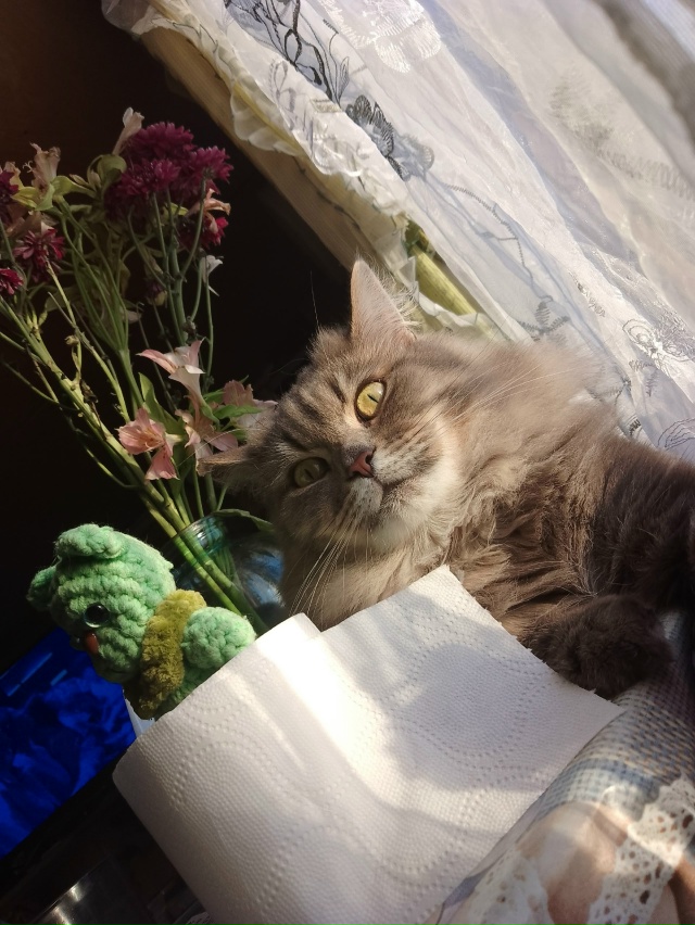 Принимаем солнечные ванны и витамин 