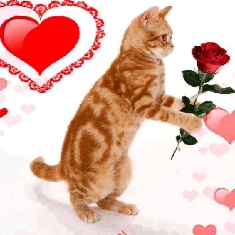 Парни сегодня типо: