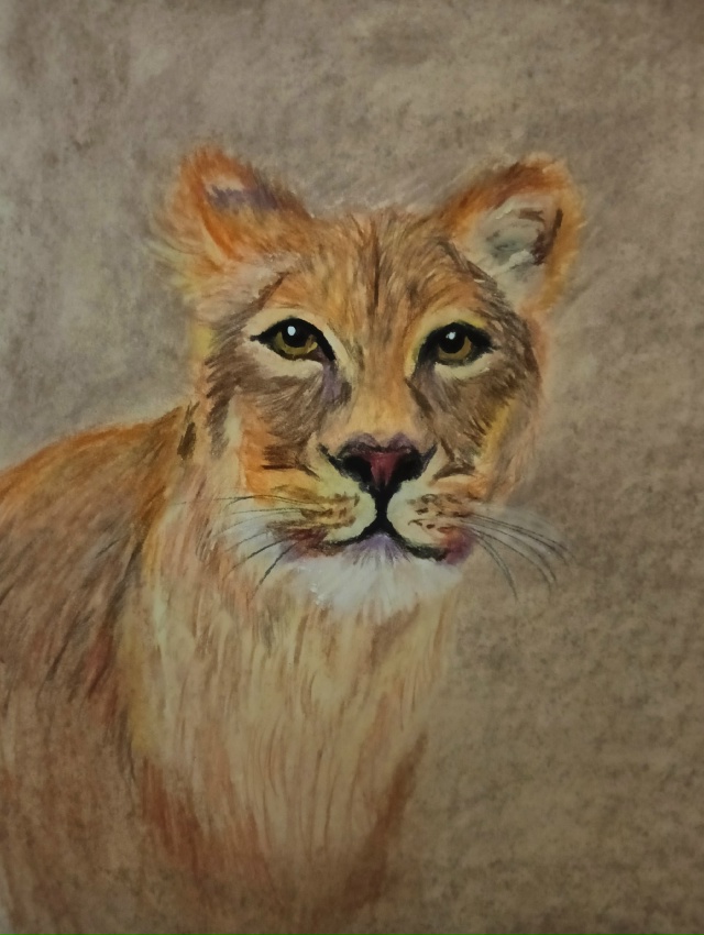 Большая кошка...
Пастель. Пастельные карандаши📝