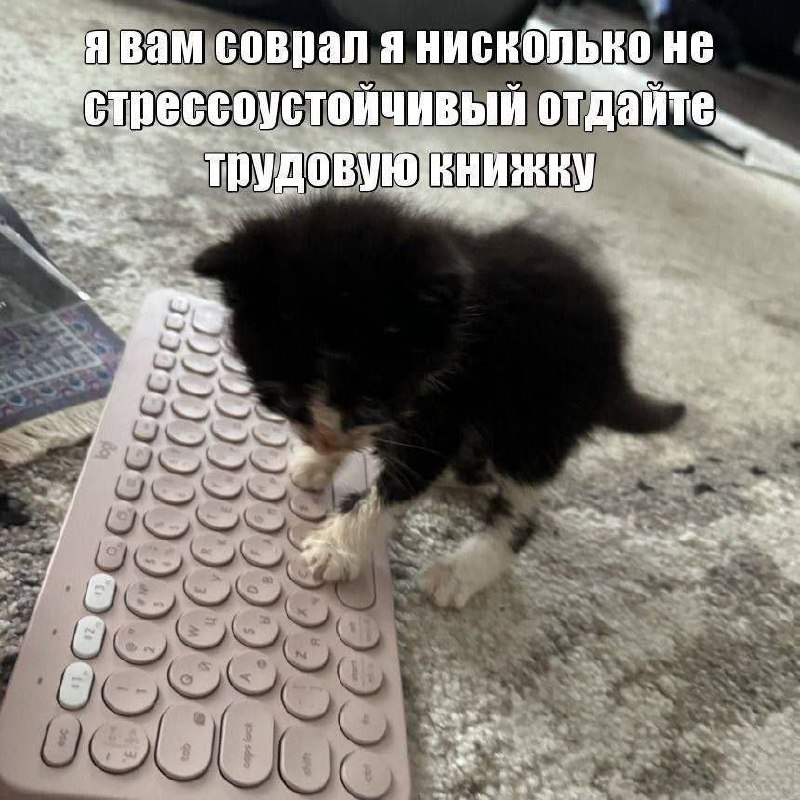 Утренняя подборочка